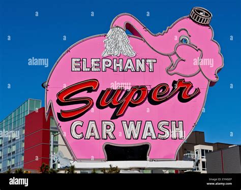 purple elephant car wash