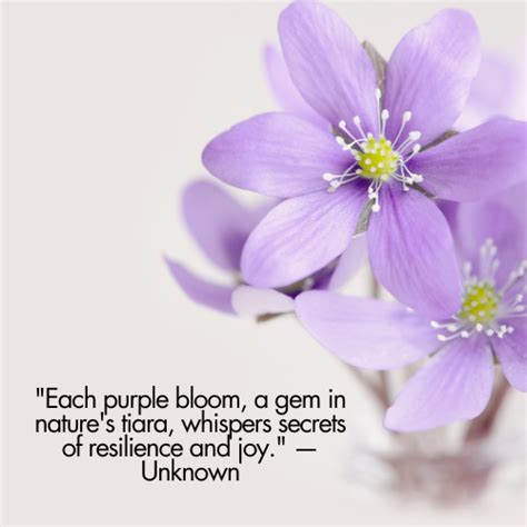 Purple Flowers Quotes
