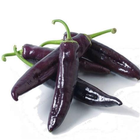 purple marconi pepper seeds