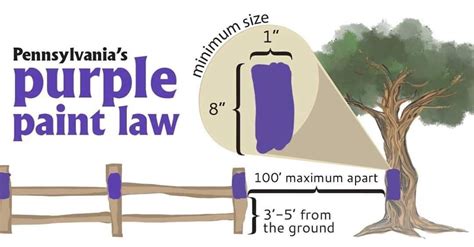 Purple Paint Law Trespassing Rules & Regulations Home and Gardening