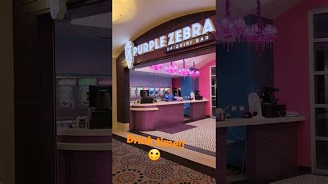 Purple Zebra Boutique