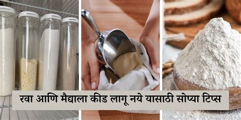 purpose flour meaning in marathi with example
