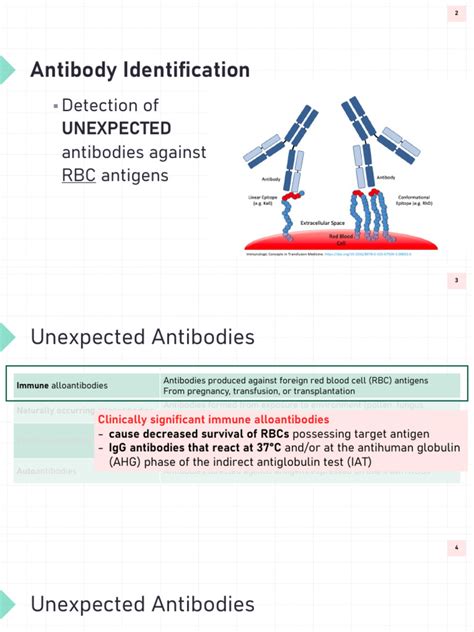 Purpose Of Antibody Identification