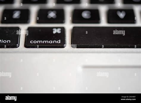 Purpose Of Command Button
