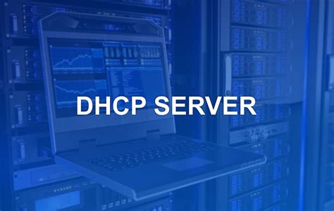 purpose of dhcp server