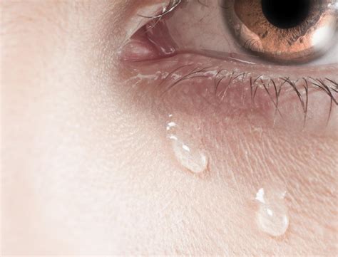 purpose of emotional tears