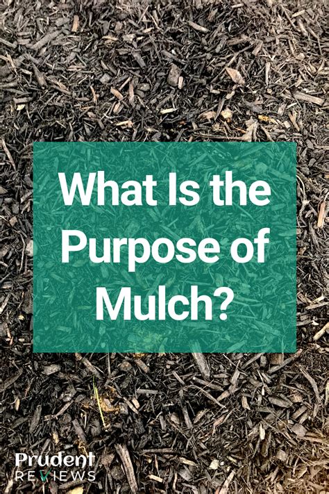 Purpose Of Mulch