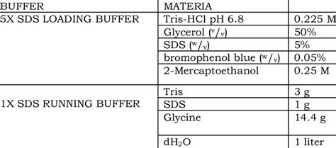 Purpose Of Running Buffer In Sds-Page