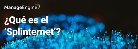 Purpose Of Splinternet