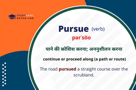 pursue meaning in hindi sentence
