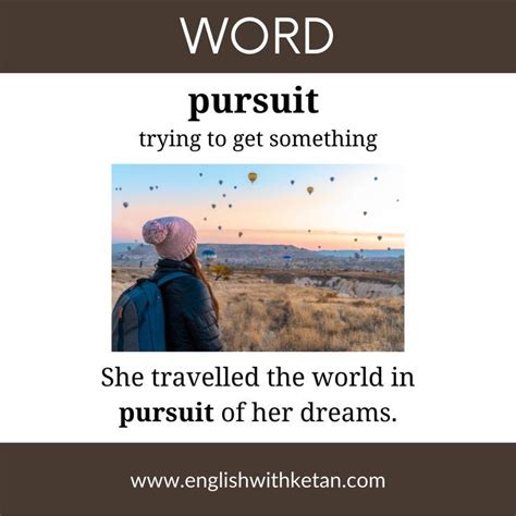 Pursuit of Meaning
