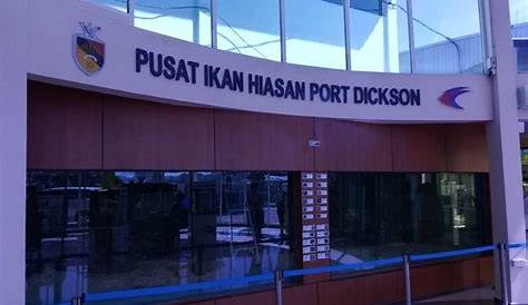 Kifaz: Pusat Ikan Hiasan Di Port Dickson