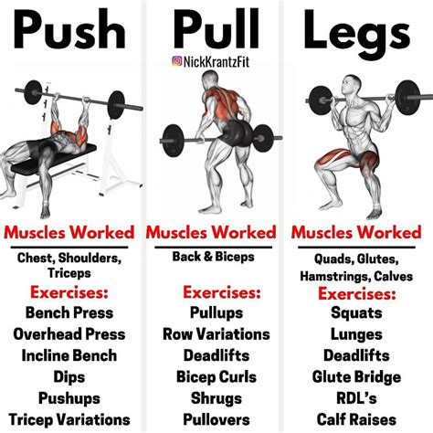 Push Pull And Legs Exercises