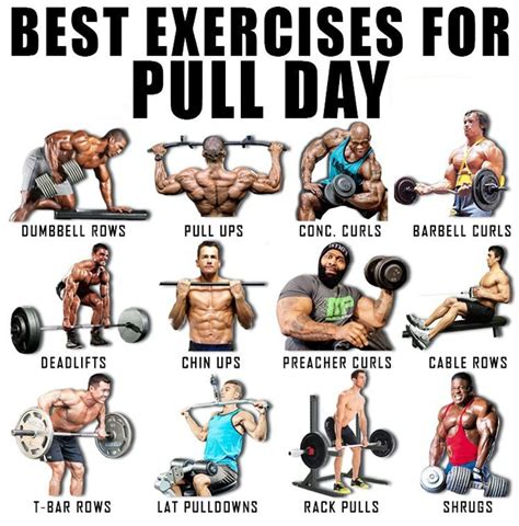 Push Pull Back Workout