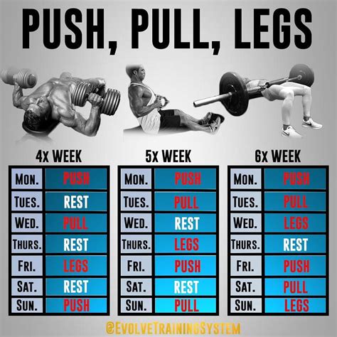 Push Pull Gym Schedule