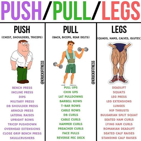 Push Pull Leg Rest Days