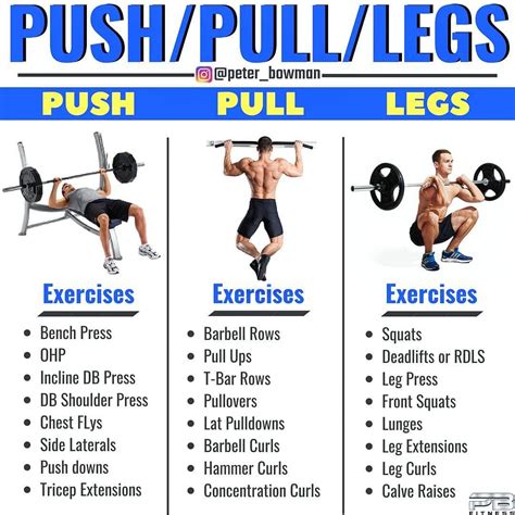 push pull leg workout routine