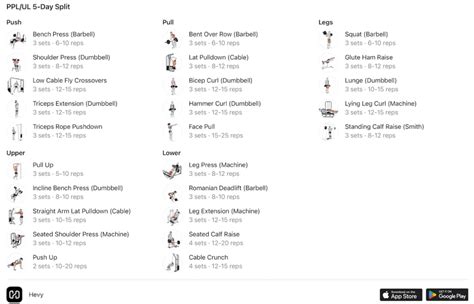 Push Pull Legs 5 Day Split Beginner