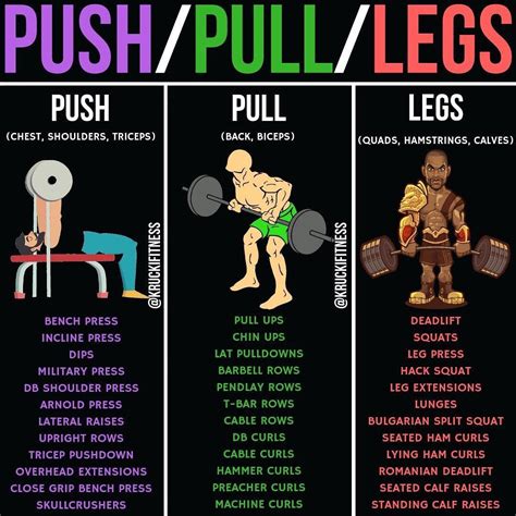 Push Pull Legs Is It Good