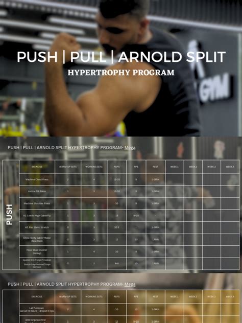 Push Pull Legs Routine Arnold