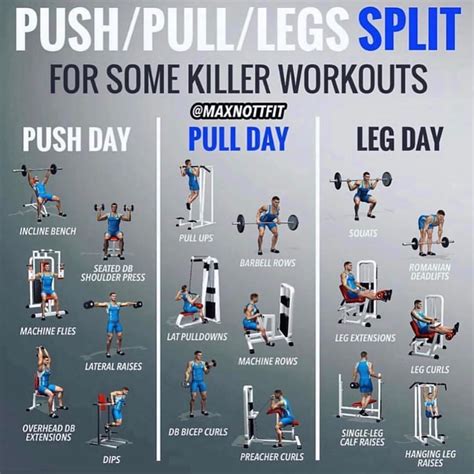 Push Pull Legs Routine For Cutting