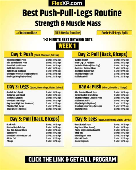 Push Pull Legs Routine For Lean Mass