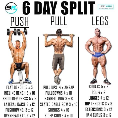 Push Pull Legs Routine Split