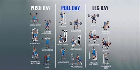 Push Pull Legs Routine While Cutting