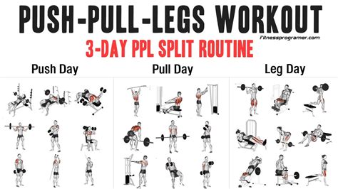 Push Pull Legs Routine Youtube