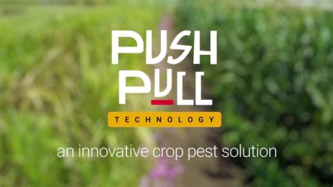 Push Pull Technology Explain - Push Pull
