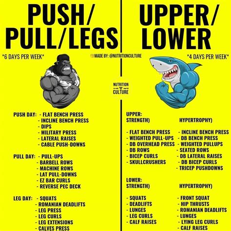 Push Pull Upper Lower Reddit