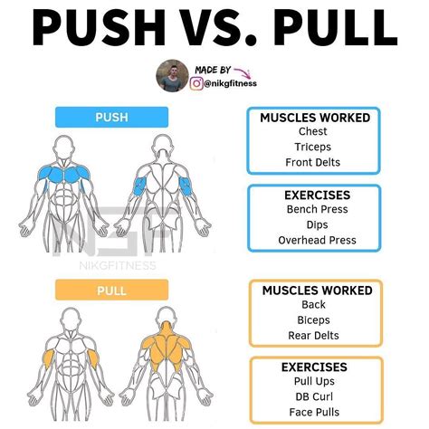 Push Vs Pull Muscles