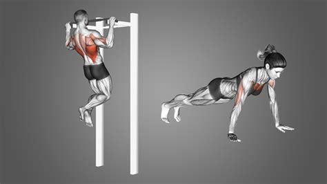 Push-Ups And Pull-Ups Are Examples Of This Type Of Exercise