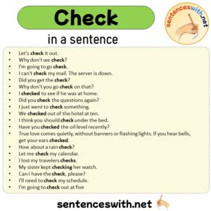 put check in a sentence