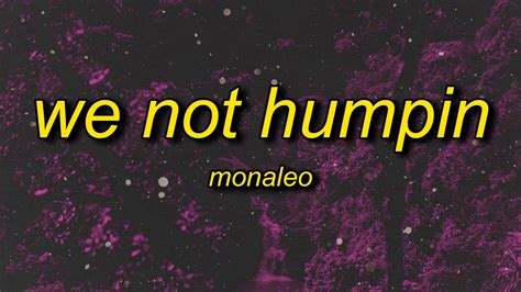 Monaleo We Not Humping Lyrics Genius Lyrics