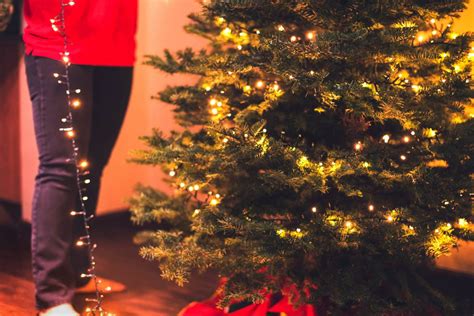 Put Up Christmas Tree Lights