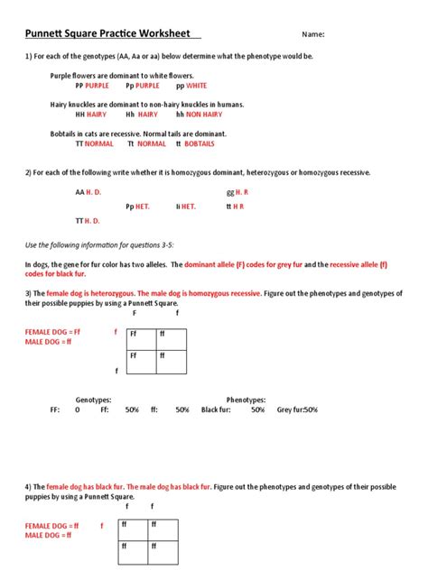 Putten Square Printable Worksheets