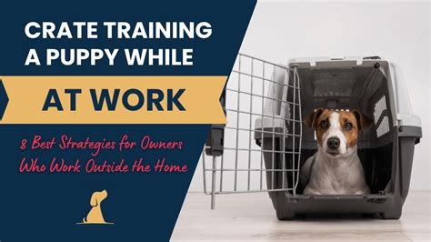 Putting A Dog In A Crate While At Work