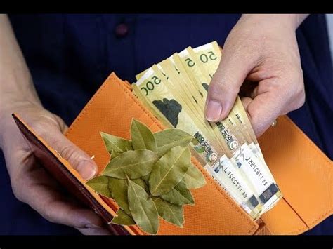 Putting Bay Leaf In Wallet