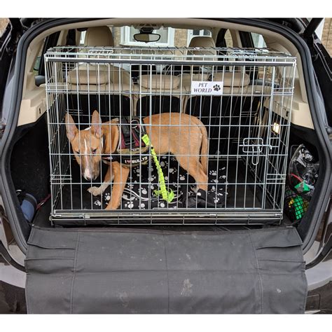 Putting Dog In Crate In Car