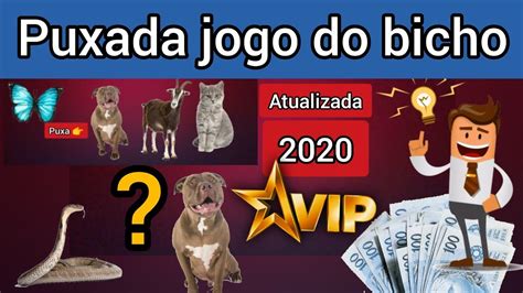 puxada do veado no jogo do bicho