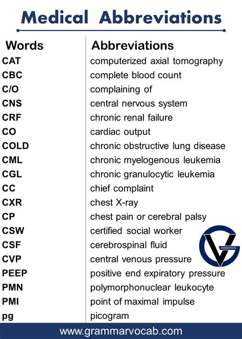 pv medical abbreviation meaning