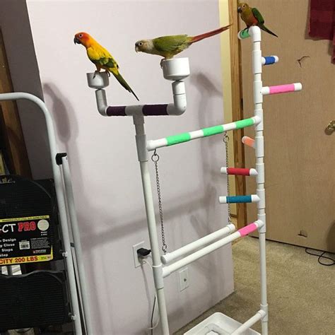 Pvc Parrot Stand