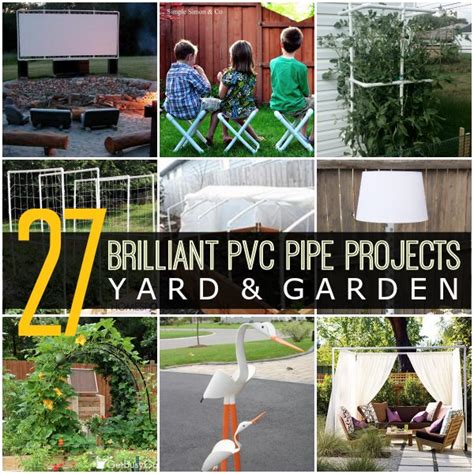 Pvc Pipe In Back Yard