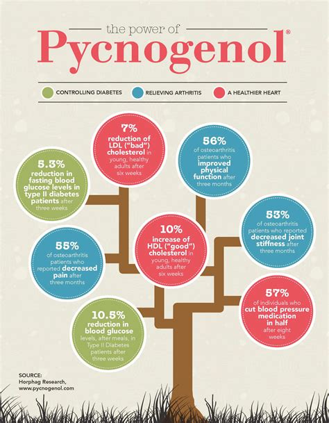 Pycnogenol Antioxidant Benefits
