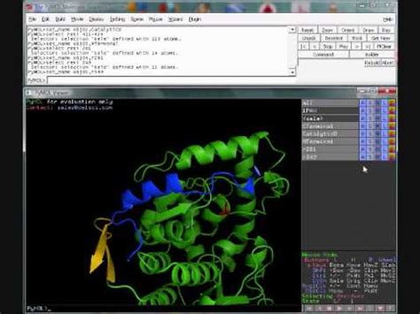 Pymol Movie Tutorial - Namajoqu
