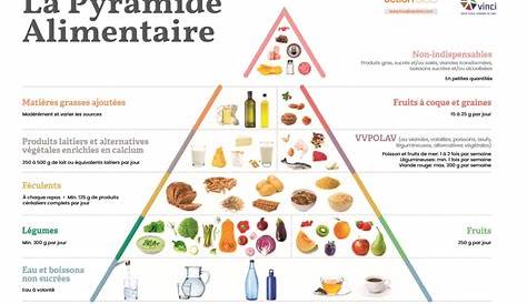 Pyramide Dalimentation Equilibree Alimentaire CP Monsieur Mathieu
