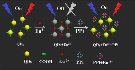 Pyrophosphate Detection