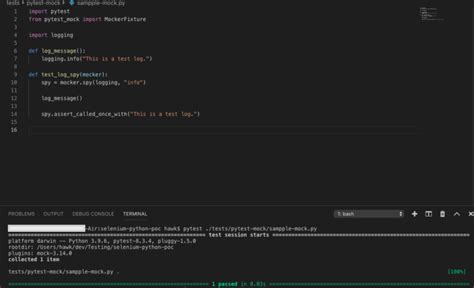 pytest spy on method
