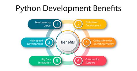 python application development course